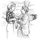 Illustration for article titled The Doctor at Sea (Not Dirk Bogarde)